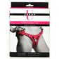 Lederen Korset Harnas - Roze - Pleasureplay Voorbinddildo'sXR Brands