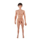 'Jimmy Levensechte Sekspop Met Stabilisatoren - Beige' - EroticToyzMannelijkDolls by Shots